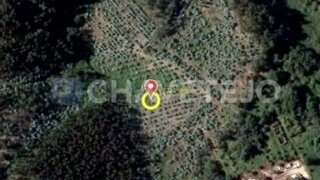 Land for sale in Ferreira do Zêzere, Portugal — €8,000