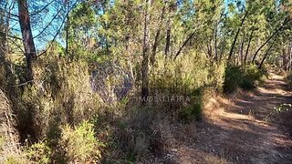 Land for sale in Tomar, Portugal — €13,000