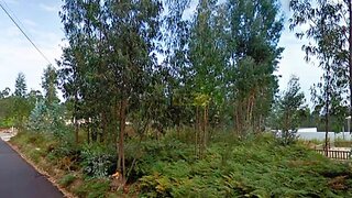 Land for sale in Albergaria-a-Velha, Portugal — €180,000