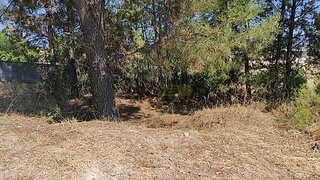 Land for sale in Torres Novas, Portugal — €43,000