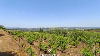 Land for sale in Mangualde, Portugal — €34,500