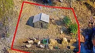 Terreno para venda em Castro Daire, Portugal — 6000 €