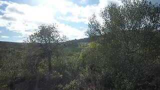 Land for sale in Loulé, Portugal — €50,000
