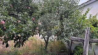 Terreno em Vinhais
