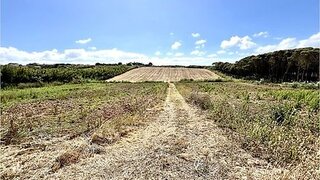 Terreno em Torres Vedras