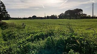 Land for sale in Torres Novas, Portugal — €45,000