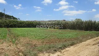 Land for sale in Lourinhã, Portugal — €30,000
