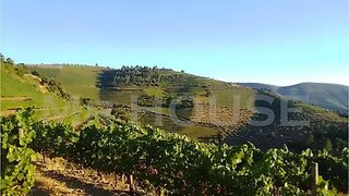 Land for sale in São João da Pesqueira, Portugal — €270,000