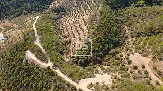 Land for sale in Castelo Branco, Portugal — €8,500