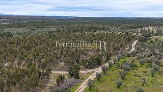 Land for sale in Gavião, Portugal — €26,900