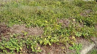 Land for sale in Oliveira do Bairro, Portugal — €350,000