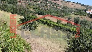 Land for sale in Mirandela, Portugal — €52,000