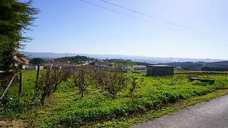 Land for sale in Alcobaça, Portugal — €20,000