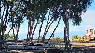 Land for sale in Calheta (Madeira), Portugal — €330,000