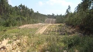Land for sale in Anadia, Portugal — €22,000