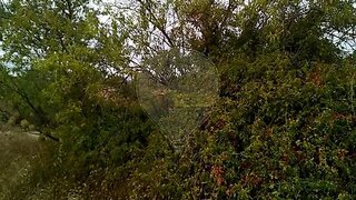 Land for sale in Chamusca, Portugal — €35,000
