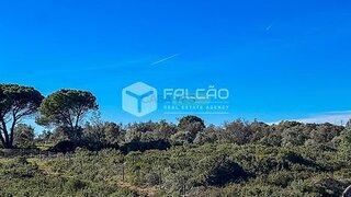 Terreno em Santarém · 118 800 m² · 180 000 €