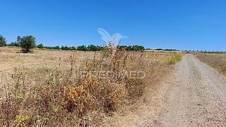 Terreno de 9250 m² em Beja