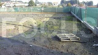 Land for sale in Albergaria-a-Velha, Portugal — €70,000