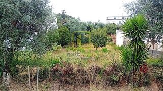 Terreno de 543 m² em Coimbra