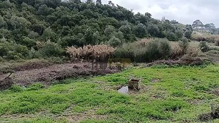 Land for sale in Cartaxo, Portugal — €18,500