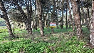 Land for sale in Sintra, Portugal — €250,000