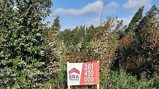 Land for sale in Lourinhã, Portugal — €20,000