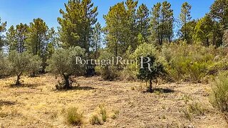 Terreno · 13 900 m² · 10 500 €