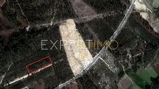 Land for sale in Ourém, Portugal — €18,000