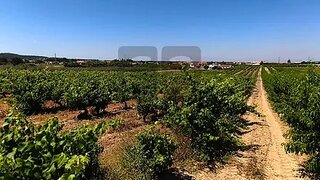 Land for sale in Almeirim, Portugal — €60,000