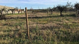 Land for sale in Abrantes, Portugal — €25,000
