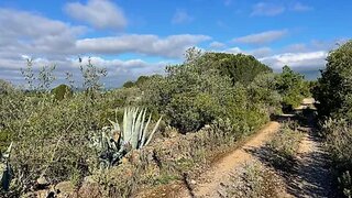 Land for sale in Torres Novas, Portugal — €45,000