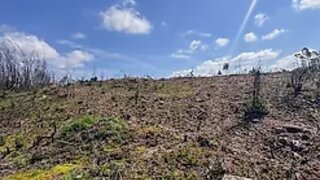Land for sale in Águeda, Portugal — €35,000