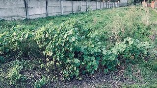 Terreno de 535 m² em Leiria