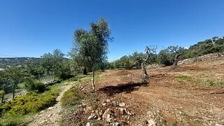 Terreno em São Brás de Alportel · 1600 m² · 27 000 €