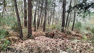 Land for sale in Vila Nova de Cerveira, Portugal — €40,000