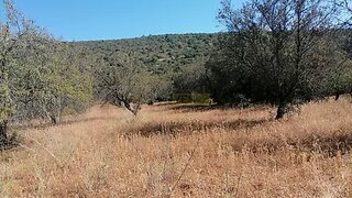Land for sale in Loulé, Portugal — €60,000