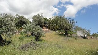Terreno em São Brás de Alportel