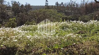 Terreno · 10 m² · 150 000 €