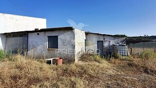Terreno de 1000 m² em Santarém