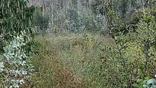 Land for sale in Póvoa de Lanhoso, Portugal — €28,000