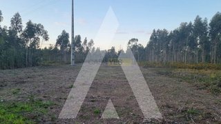 Land for sale in Vagos, Portugal — €55,000