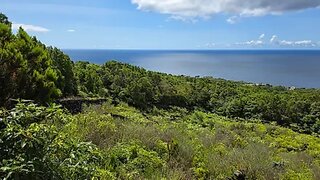 Land for sale in Madalena, Portugal — €90,000