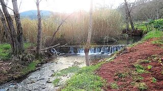 Land for sale in Penela, Portugal — €27,000