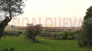 Land for sale in Reguengos de Monsaraz, Portugal — €22,500