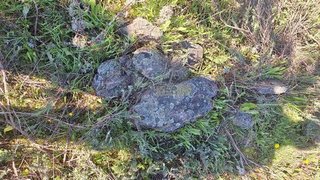 Land for sale in Castelo Branco, Portugal — €8,500