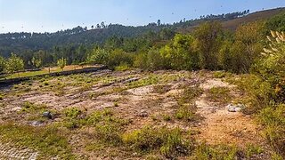 Terreno em Paredes