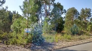 Land for sale in Oliveira do Bairro, Portugal — €38,000