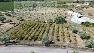 Terreno · 19 500 m² · 46 000 €