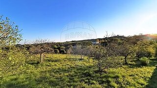 Land for sale in Torres Novas, Portugal — €15,000